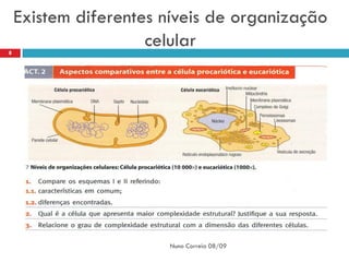 Existem diferentes níveis de organização
8
                     celular




                       Nuno Correia 08/09
 