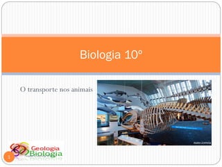 Biologia 10º

    O transporte nos animais




1    Nuno Correia 09-10
 