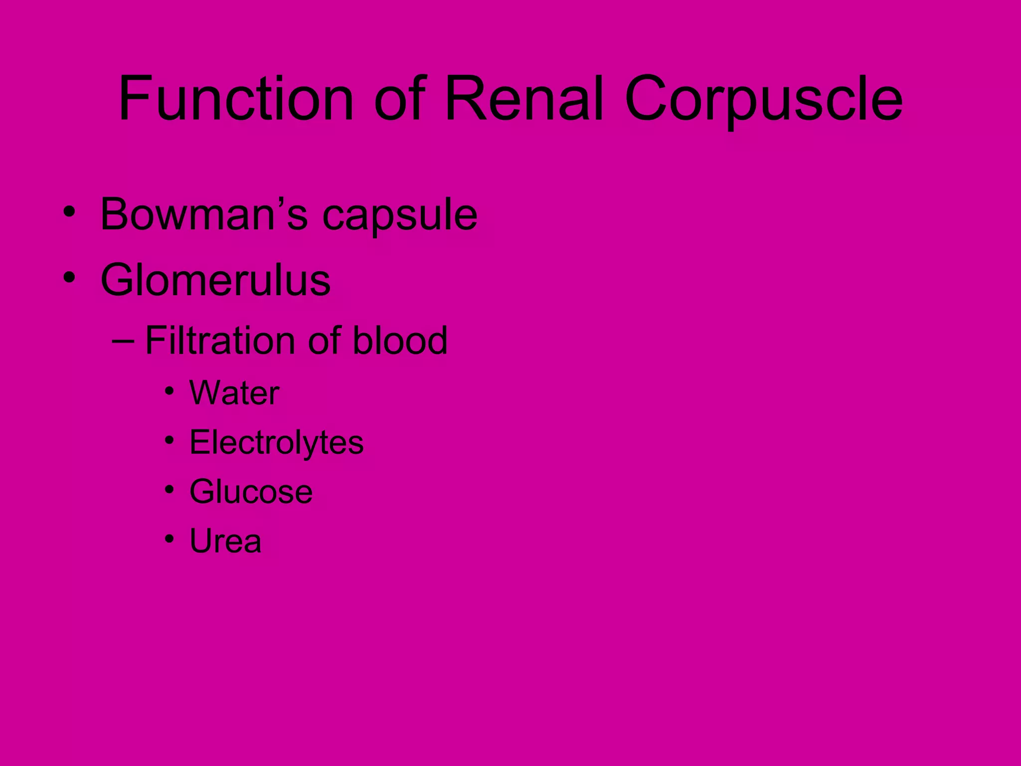 Function of Renal Corpuscle
• Bowman’s capsule
• Glomerulus
  – Filtration of blood
     •   Water
     •   Electrolytes
     •   Glucose
     •   Urea
 