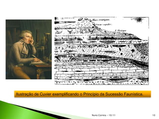 Ilustração de Cuvier exemplificando o Princípio da Sucessão Faunística.
10Nuno Correia - 10/11
 