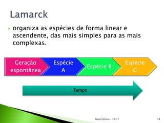  organiza as espécies de forma linear e
ascendente, das mais simples para as mais
complexas.
Geração
espontânea
Espécie
A
Espécie B
Espécie
C
Tempo
18Nuno Correia - 10/11
 
