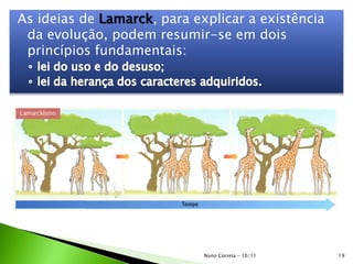 As ideias de Lamarck, para explicar a existência
da evolução, podem resumir-se em dois
princípios fundamentais:
19Nuno Correia - 10/11
 