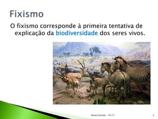 O fixismo corresponde à primeira tentativa de
explicação da biodiversidade dos seres vivos.
2Nuno Correia - 10/11
 