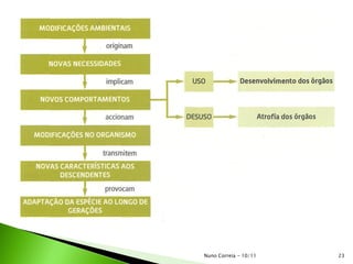 23Nuno Correia - 10/11
 