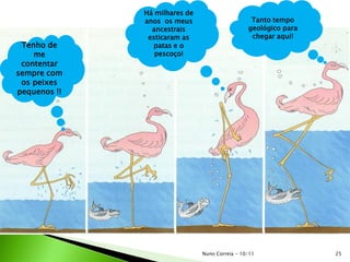 Tenho de
me
contentar
sempre com
os peixes
pequenos !!
Há milhares de
anos os meus
ancestrais
esticaram as
patas e o
pescoço!
Tanto tempo
geológico para
chegar aqui!
25Nuno Correia - 10/11
 