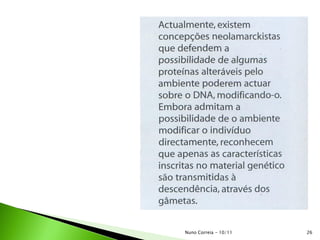 26Nuno Correia - 10/11
 