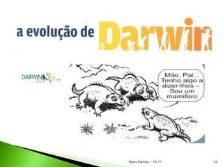 32Nuno Correia - 10/11
 