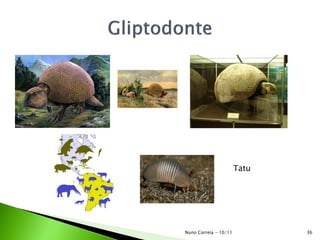 Tatu
36Nuno Correia - 10/11
 