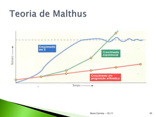 Nuno Correia - 10/11 45
 
