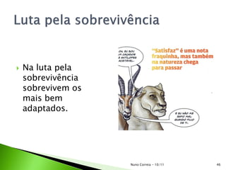  Na luta pela
sobrevivência
sobrevivem os
mais bem
adaptados.
Nuno Correia - 10/11 46
 