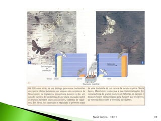 49Nuno Correia - 10/11
 
