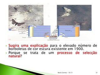  Sugira uma explicação para o elevado número de
borboletas de cor escura existente em 1900.
 Porque se trata de um processo de selecção
natural?
51Nuno Correia - 10/11
 