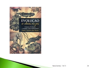 Nuno Correia - 10/11 54
 