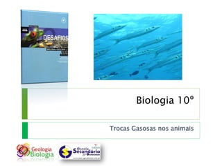 Biologia 10º

Trocas Gasosas nos animais
 