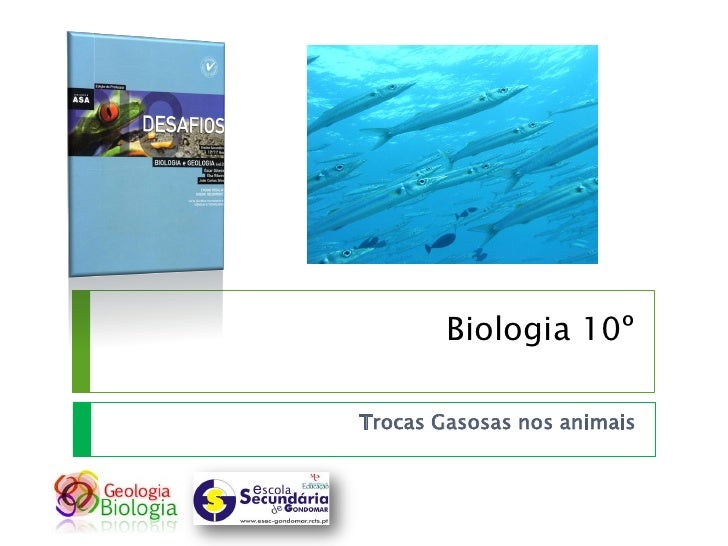 Biologia 10º

Trocas Gasosas nos animais
 