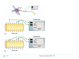 17   Nuno Correia 09/10
 