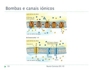 Bombas e canais iónicos




18                 Nuno Correia 09/10
 
