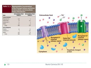 19   Nuno Correia 09/10
 