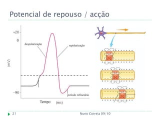 Potencial de repouso / acção




21                 Nuno Correia 09/10
 