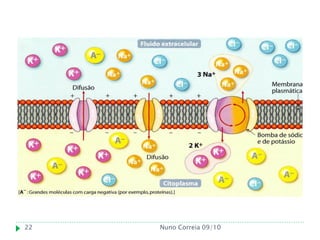 22   Nuno Correia 09/10
 
