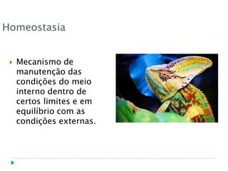 Homeostasia


    Mecanismo de
     manutenção das
     condições do meio
     interno dentro de
     certos limites e em
     equilíbrio com as
     condições externas.
 