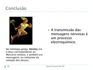 Conclusão




                                     A transmissão das
                                      mensagens nervosas é
                                      um processo
                                      electroquímico.
Na mitologia grega, Hermes era
o deus correspondente ao
Mercúrio romano, e também era
mensageiro, ou intérprete da
vontade dos deuses.

30                               Nuno Correia 08-09
 