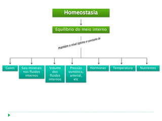 Equilíbrio do meio interno




Gases   Sais minerais    Volume     Pressão     Hormonas   Temperatura   Nutrientes
         nos fluidos       dos     osmótica,
          internos       fluidos    arterial,
                        internos       etc
 