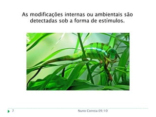 As modificações internas ou ambientais são
       detectadas sob a forma de estímulos.




7                        Nuno Correia 09/10
 
