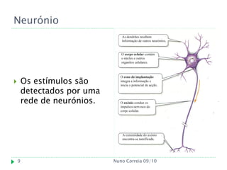 Neurónio




       Os estímulos são
        detectados por uma
        rede de neurónios.




    9                        Nuno Correia 09/10
 