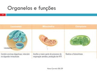 Organelos e funções
17




                    Nuno Correia 08/09
 