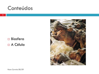 Conteúdos
2




       Biosfera
       A Célula




    Nuno Correia 08/09
 