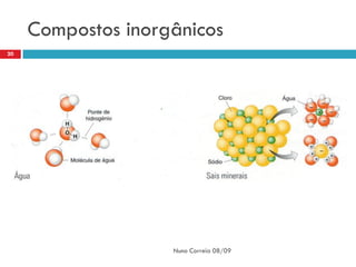Compostos inorgânicos
20




                    Nuno Correia 08/09
 