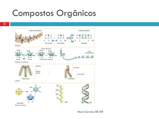 Compostos Orgânicos
21




                   Nuno Correia 08/09
 