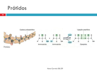 Prótidos
22




                Nuno Correia 08/09
 