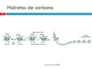 Hidratos de carbono
23




                    Nuno Correia 08/09
 