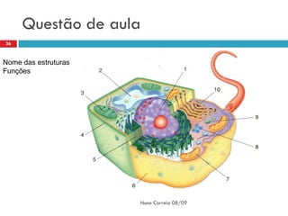 Questão de aula
26



Nome das estruturas
Funções




                      Nuno Correia 08/09
 