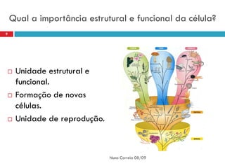 Qual a importância estrutural e funcional da célula?
9




    Unidade estrutural e
     funcional.
    Formação de novas
     células.
    Unidade de reprodução.



                              Nuno Correia 08/09
 