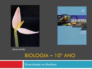 Musa textilis


            BIOLOGIA – 10º ANO
            Diversidade na Biosfera
 
