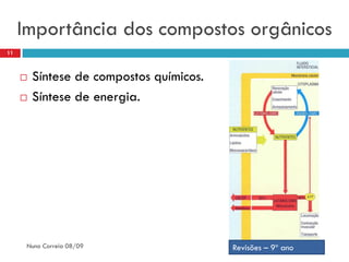 Importância dos compostos orgânicos
11



        Síntese de compostos químicos.
        Síntese de energia.




      Nuno Correia 08/09                  Revisões – 9º ano
 