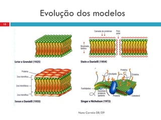 Evolução dos modelos
15




              Nuno Correia 08/09
 