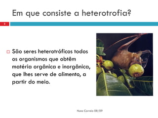 Em que consiste a heterotrofia?
2




       São seres heterotróficos todos
        os organismos que obtêm
        matéria orgânica e inorgânica,
        que lhes serve de alimento, a
        partir do meio.



                                Nuno Correia 08/09
 