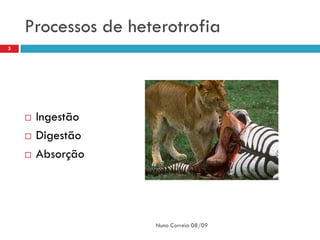 Processos de heterotrofia
3




       Ingestão
       Digestão
       Absorção




                    Nuno Correia 08/09
 