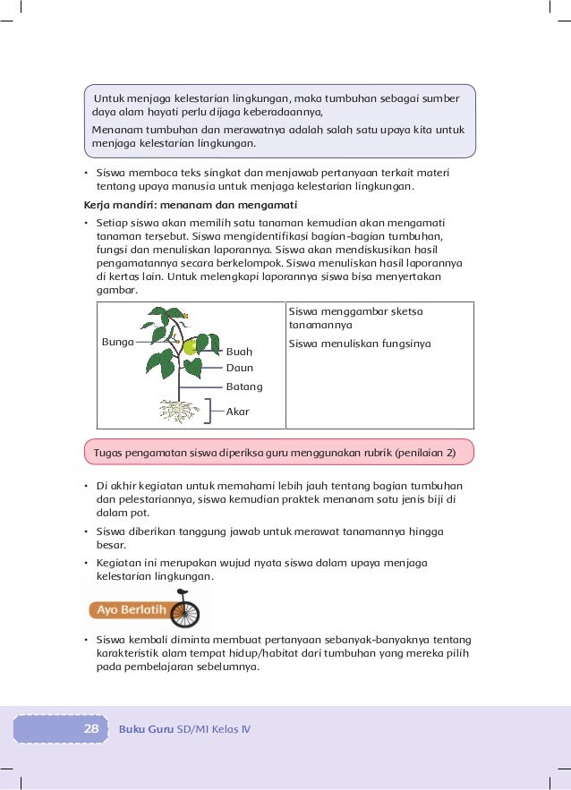 Bg 4 Tema 3 Peduli Terhadap Makhluk Hidup Ayomadrasah
