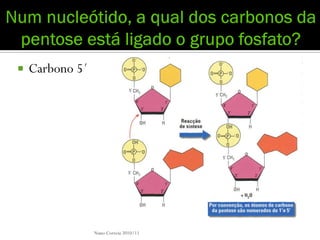    Carbono 5´




                 Nuno Correia 2010/11
 