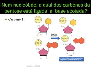    Carbono 1´




                 Nuno Correia 2010/11
 