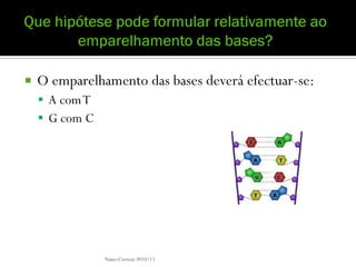    O emparelhamento das bases deverá efectuar-se:
     A com T
     G com C




                Nuno Correia 2010/11
 
