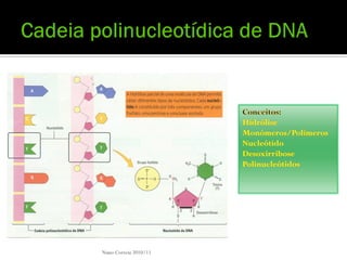 Nuno Correia 2010/11
 