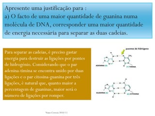 Apresente uma justificação para :
a) O facto de uma maior quantidade de guanina numa
molécula de DNA, corresponder uma maior quantidade
de energia necessária para separar as duas cadeias.

Para separar as cadeias, é preciso gastar
energia para destruir as ligações por pontes
de hidrogénio. Considerando que o par
adenina-timina se encontra unido por duas
ligações e o par citosina-guanina por três
ligações, é natural que, quanto maior a
percentagem de guaninas, maior será o
número de ligações por romper.


                      Nuno Correia 2010/11
 