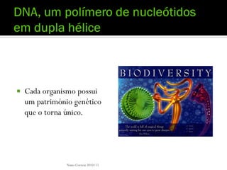    Cada organismo possui
    um património genético
    que o torna único.




                Nuno Correia 2010/11
 