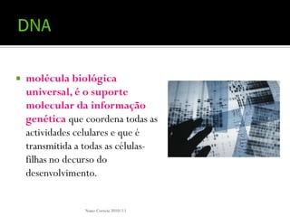    molécula biológica
    universal, é o suporte
    molecular da informação
    genética que coordena todas as
    actividades celulares e que é
    transmitida a todas as células-
    filhas no decurso do
    desenvolvimento.


                 Nuno Correia 2010/11
 